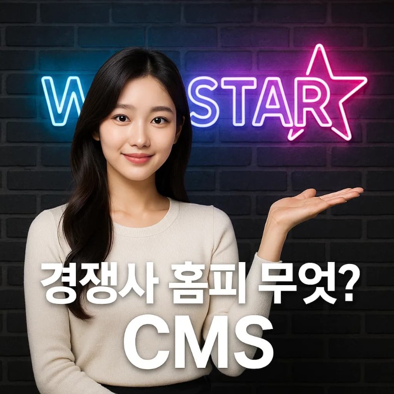 웹사이트 CMS 감지 도구